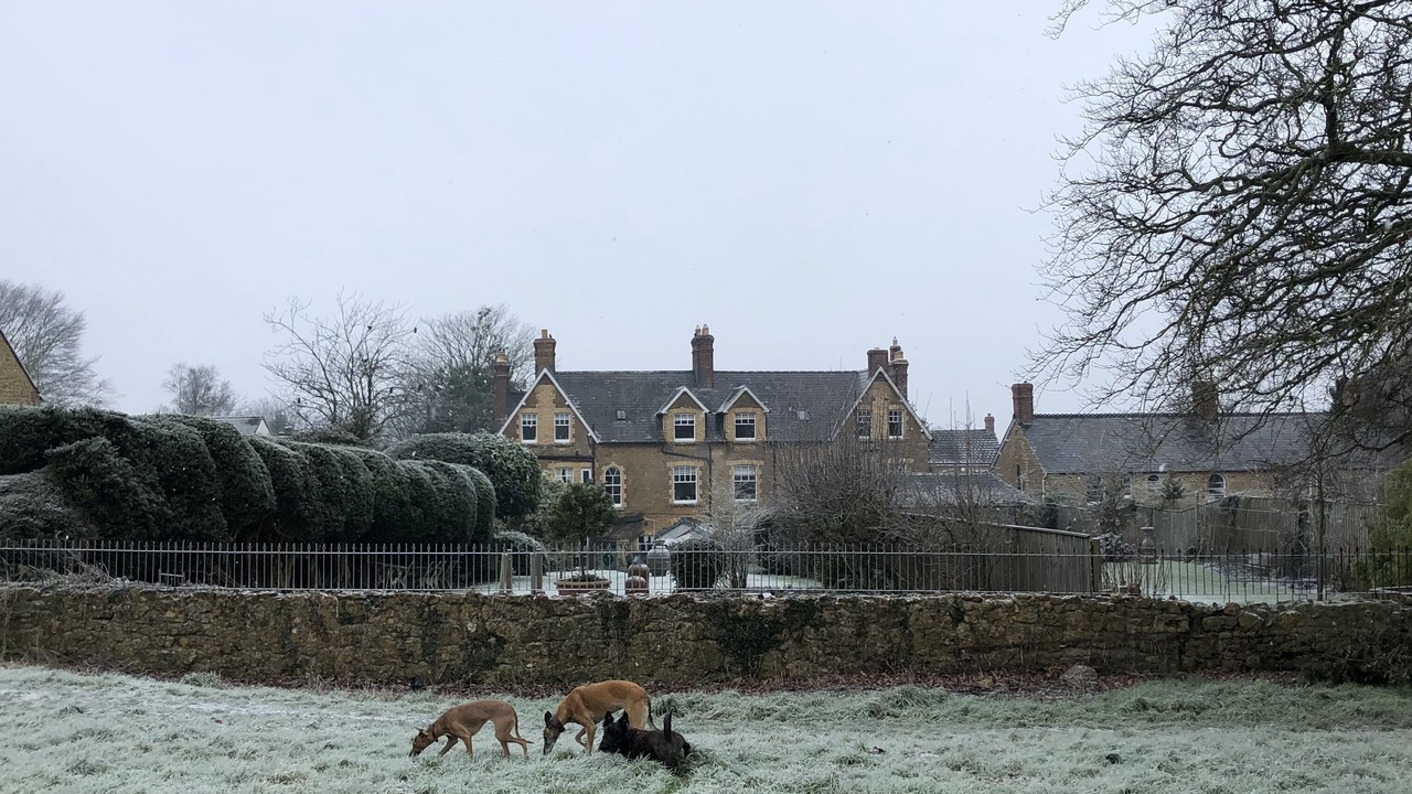 Photo of Outdoor in Castle Cary