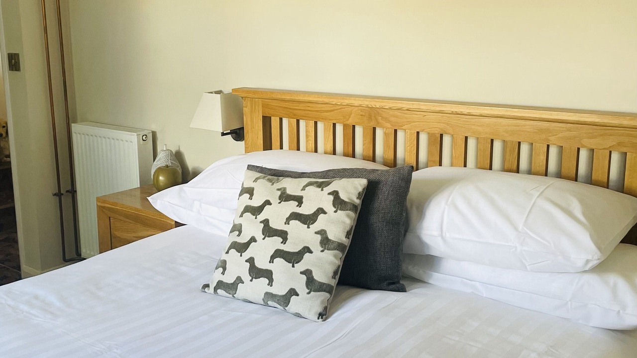 Photo of Others in Totnes