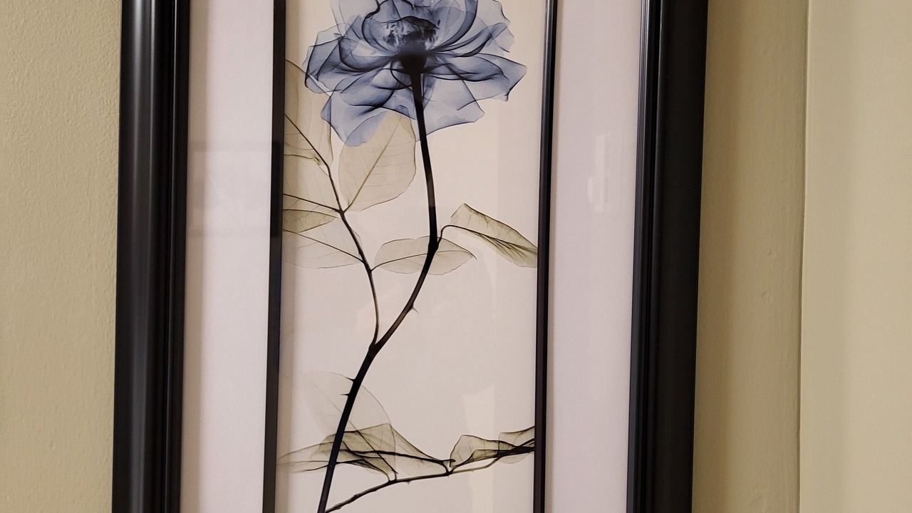 Photo of Bedroom in Strawberry Hill