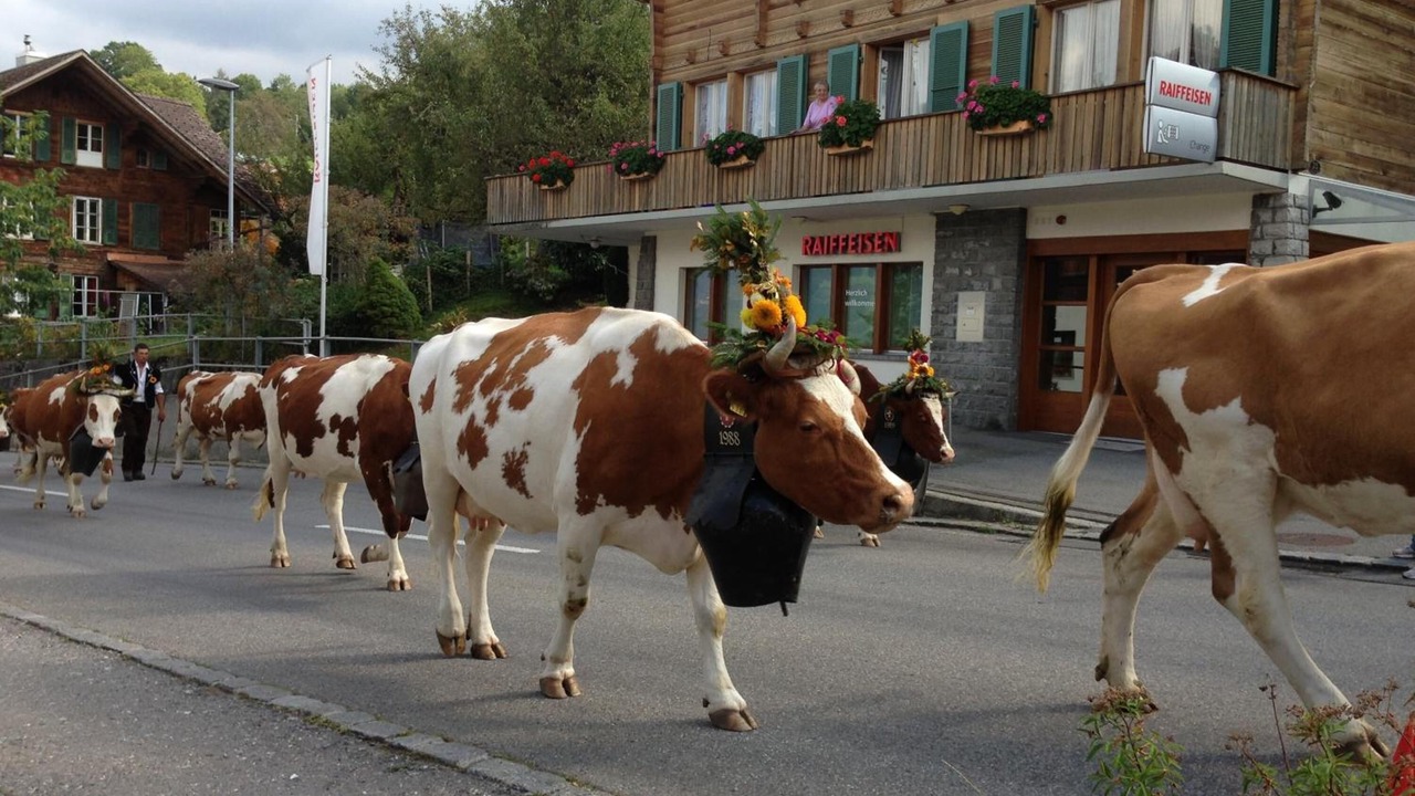 Photo of Outdoor in Krattigen