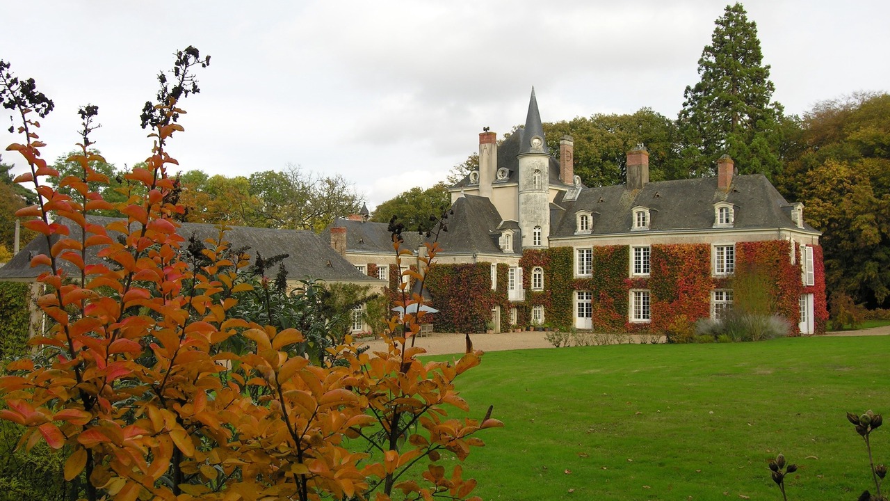 Photo of Outdoor in La Jaille-Yvon