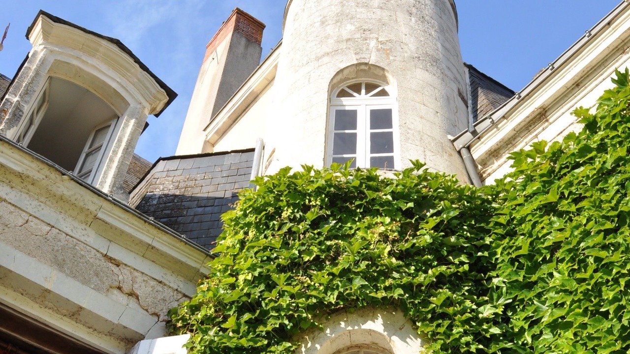 Photo of Buildings in La Jaille-Yvon