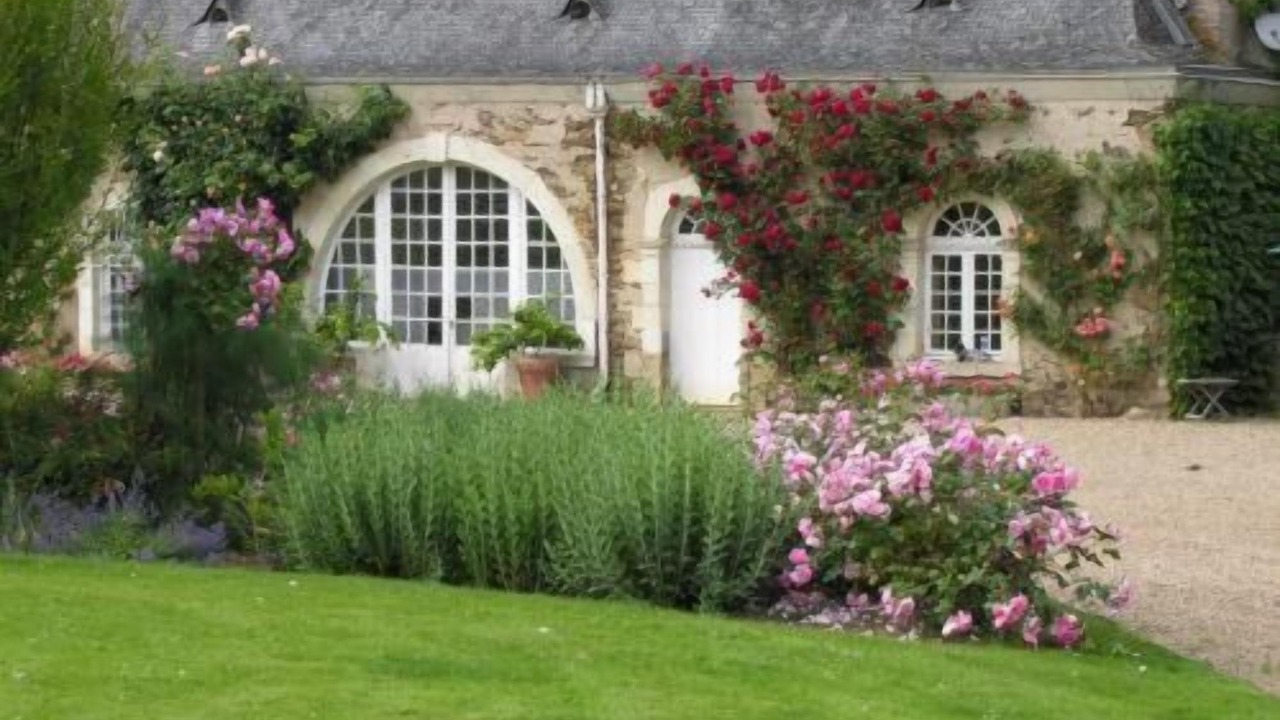 Photo of Outdoor in La Jaille-Yvon