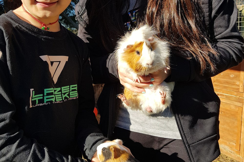 Photo of Outdoor in Ventnor