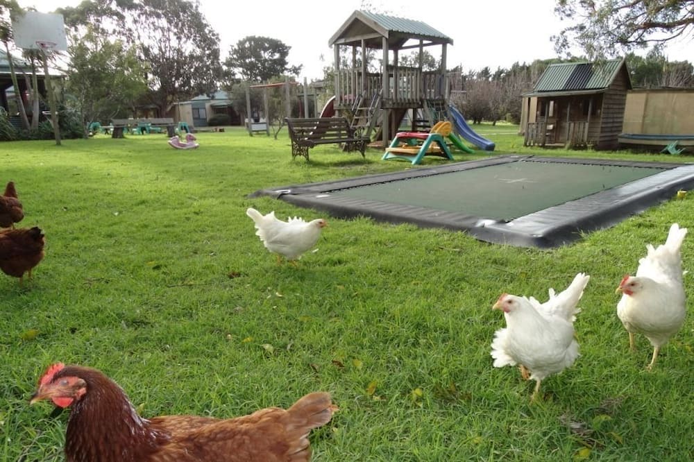 Photo of Outdoor in Ventnor