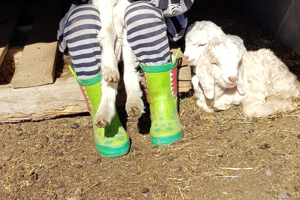 Photo of Others in Ventnor