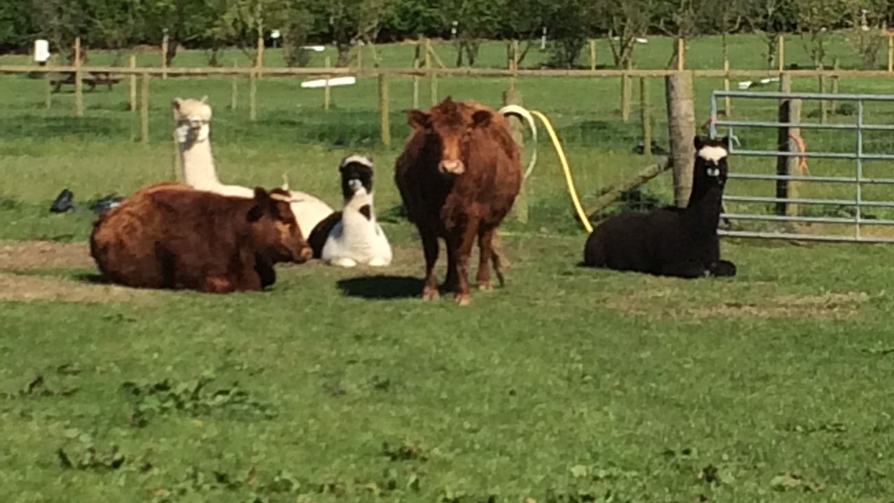 Photo of Outdoor in Ormskirk