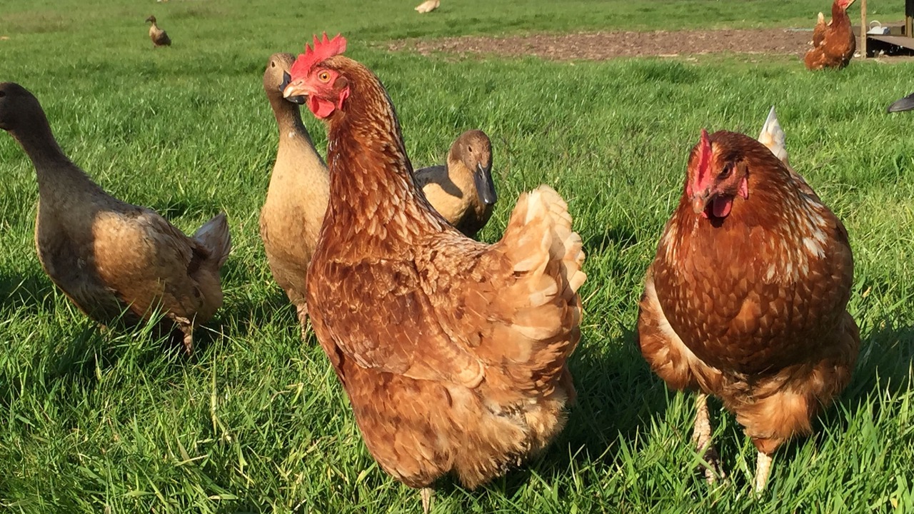 Photo of Outdoor in Ormskirk