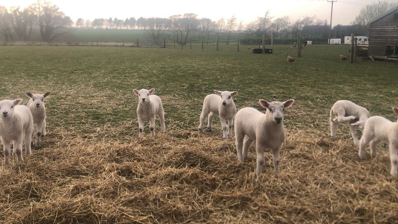 Photo of Outdoor in Ormskirk