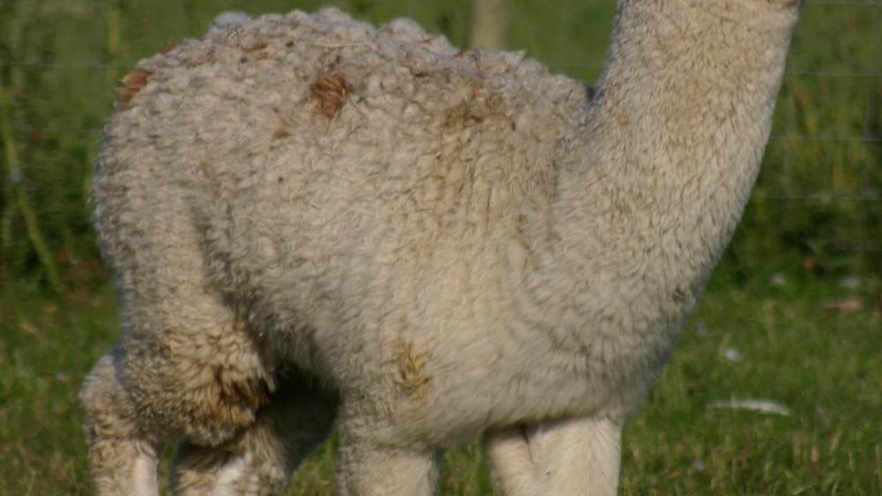 Photo of Outdoor in Ormskirk