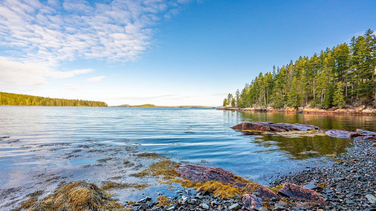 Photo of Others in South Gouldsboro