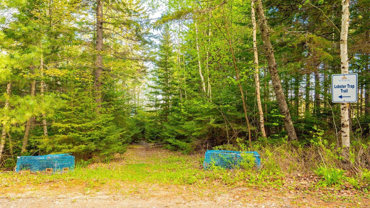 Photo of Outdoor in South Gouldsboro