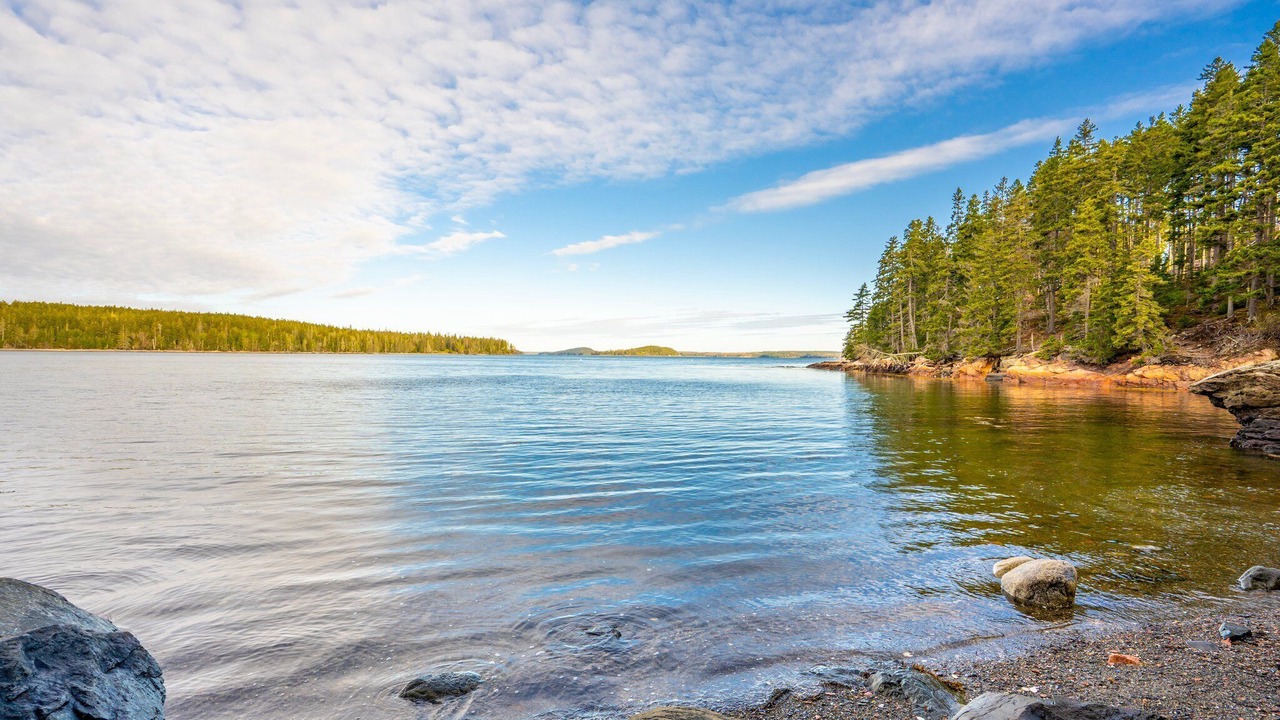 Photo of Others in South Gouldsboro