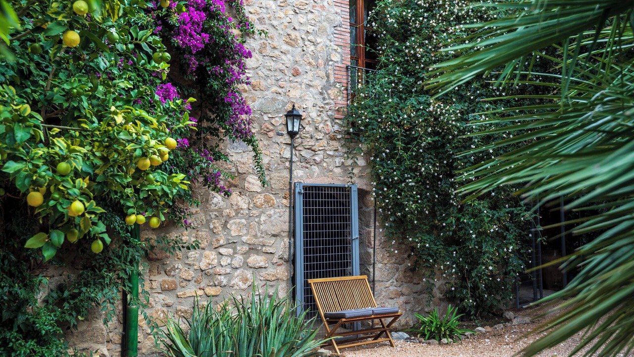 Photo of Patio Balcony in Capmany
