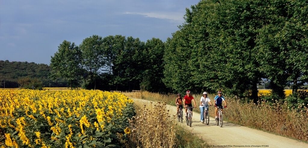 Photo of Outdoor in Capmany