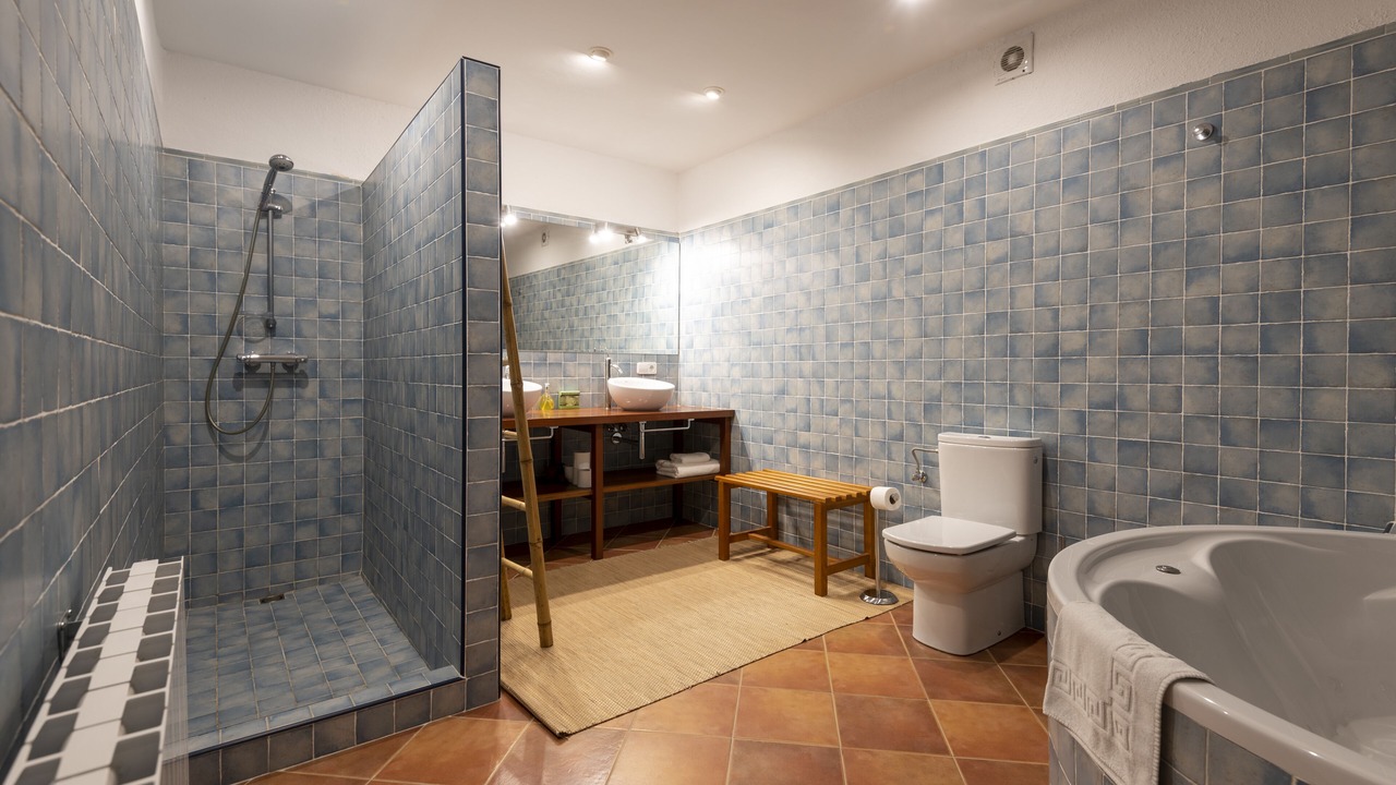 Photo of Bathroom in Capmany