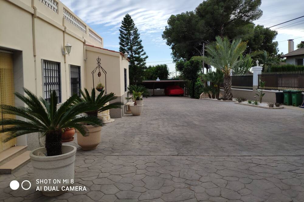 Photo of Outdoor in Elche