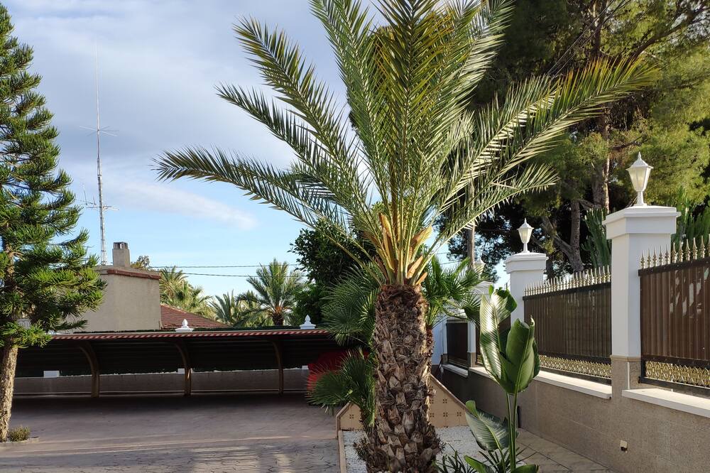 Photo of Outdoor in Elche