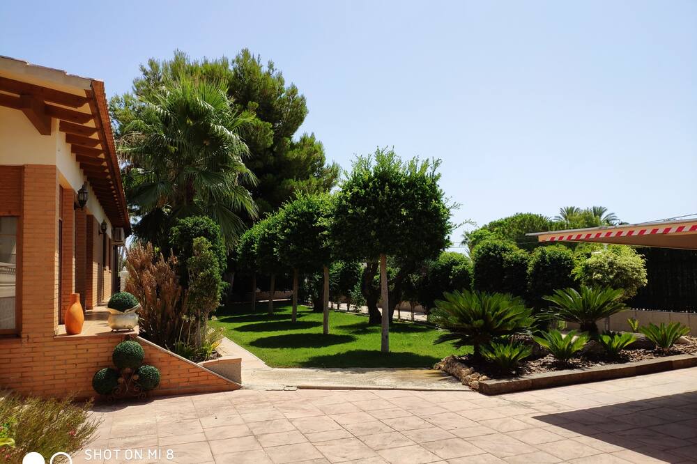 Photo of Outdoor in Elche