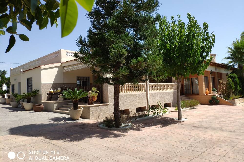 Photo of Outdoor in Elche