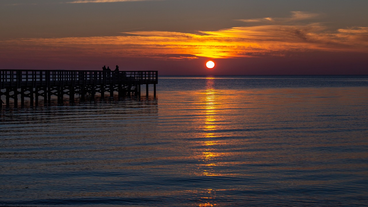 Photo of Others in Sklskr