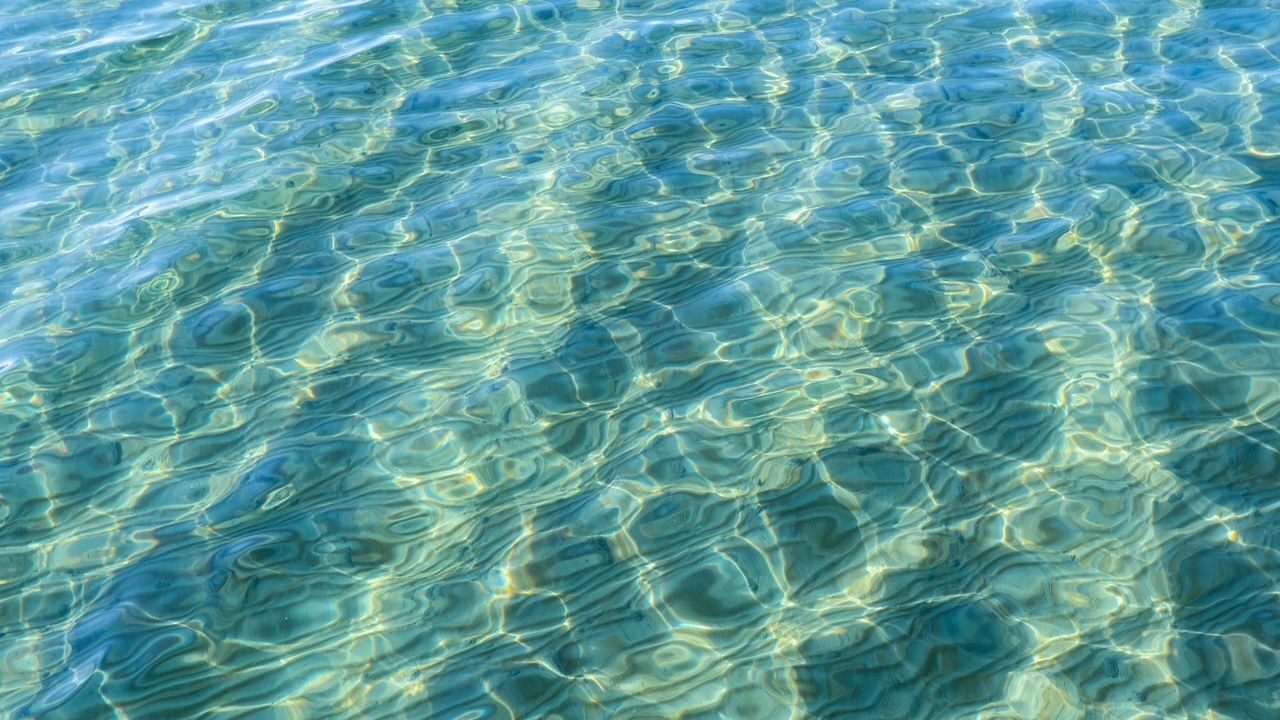 Photo of Others in Sklskr