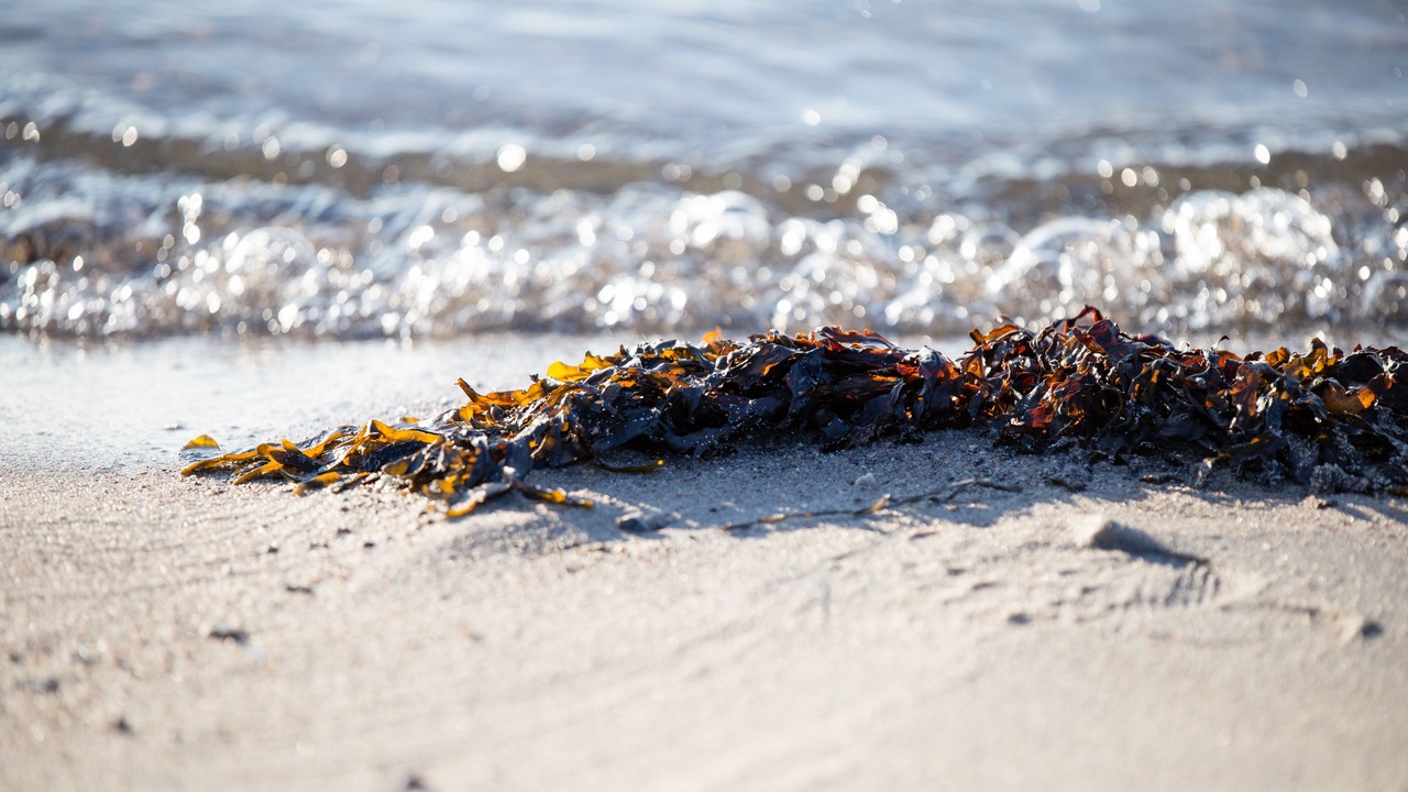 Photo of Outdoor in Sklskr