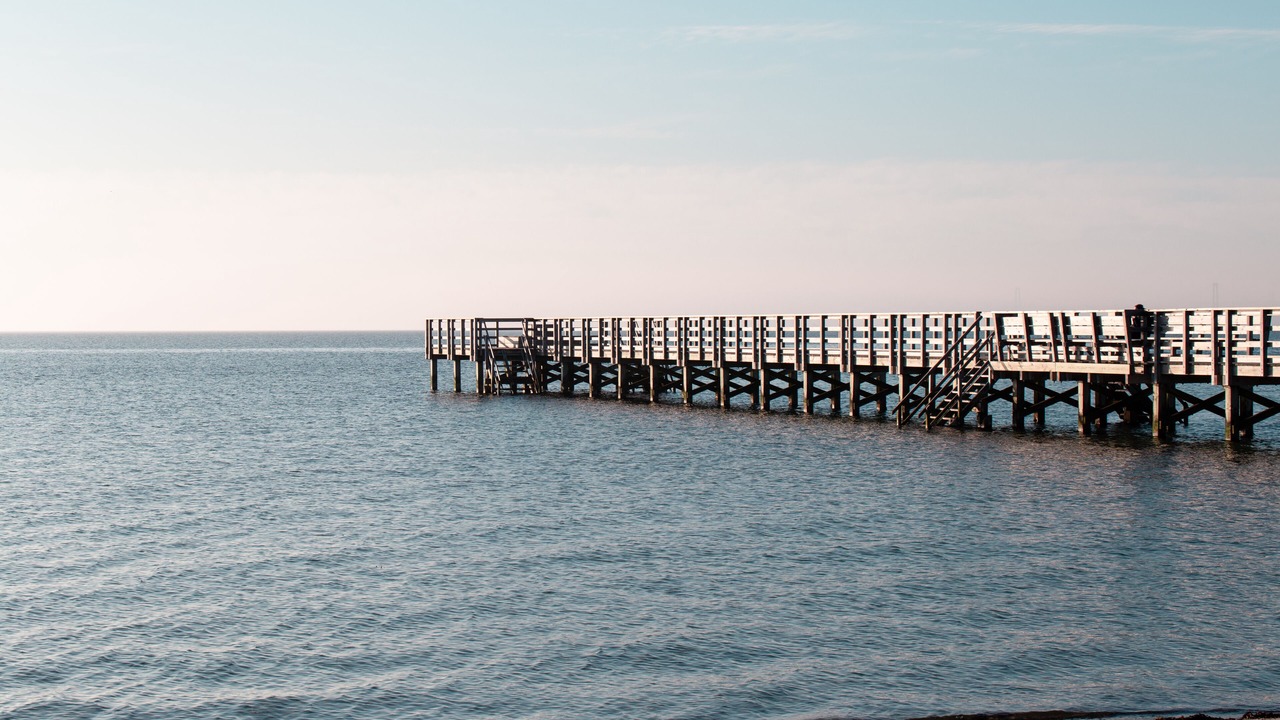 Photo of Others in Sklskr