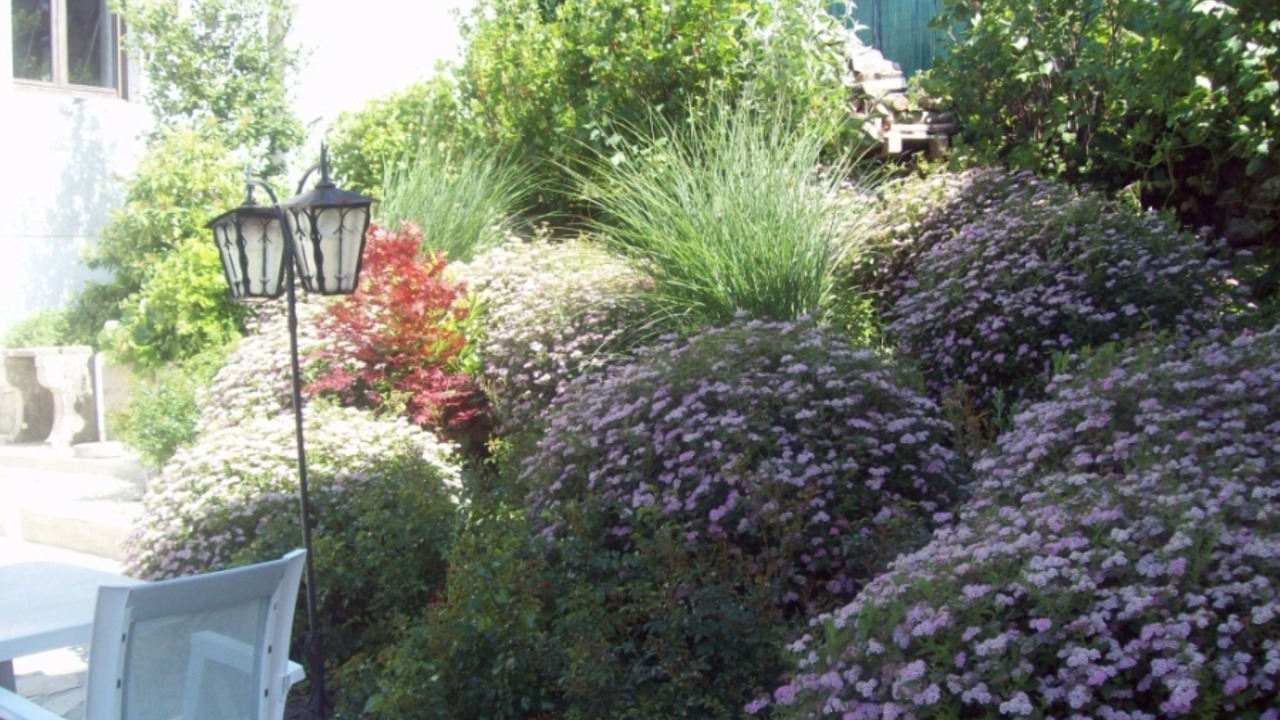 Photo of Outdoor in Saint-Cirgues-de-Jordanne