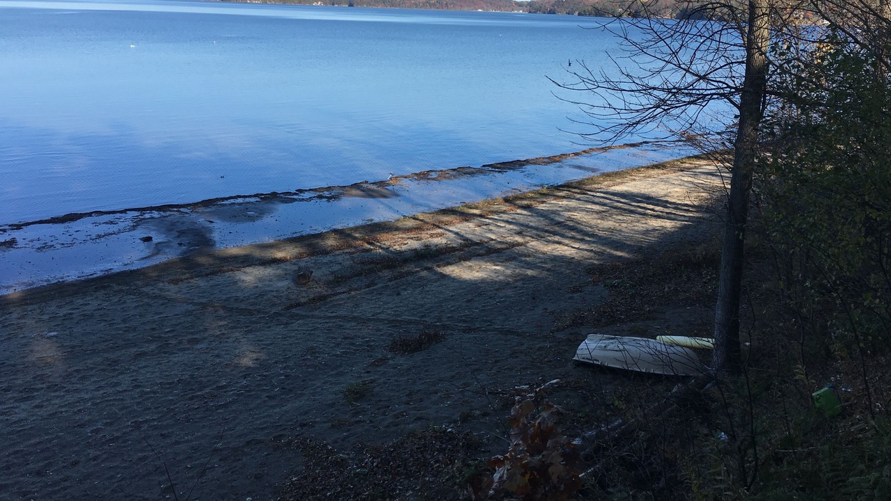 Photo of Others in Colchester