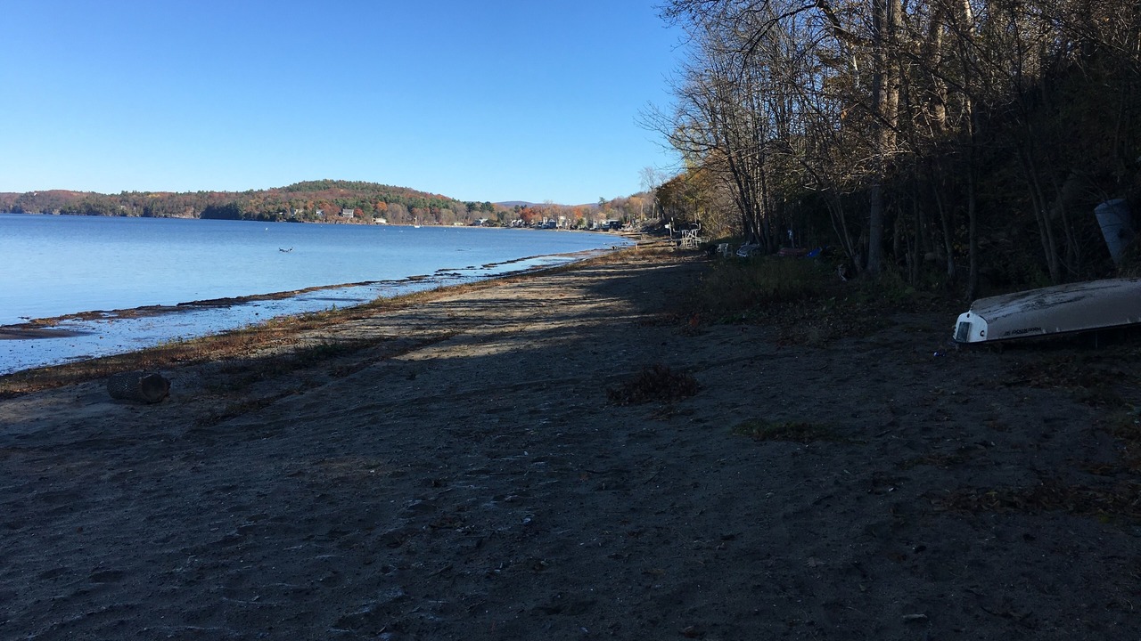 Photo of Others in Colchester