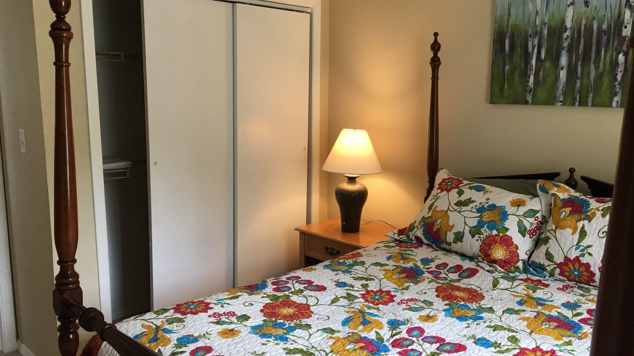 Photo of Others in Colchester