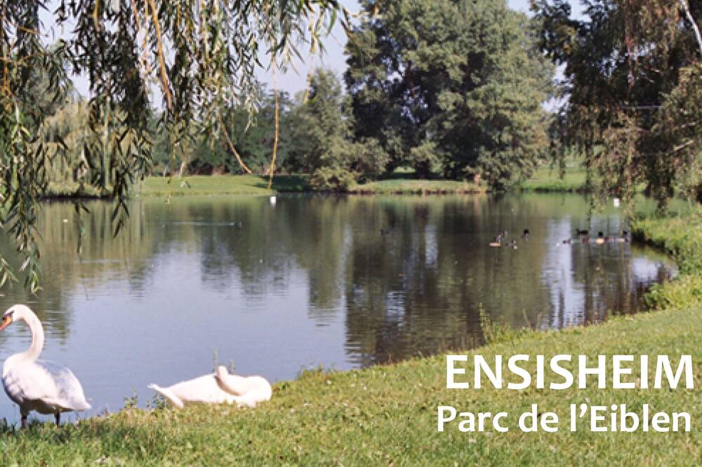 Photo of Others in Ensisheim