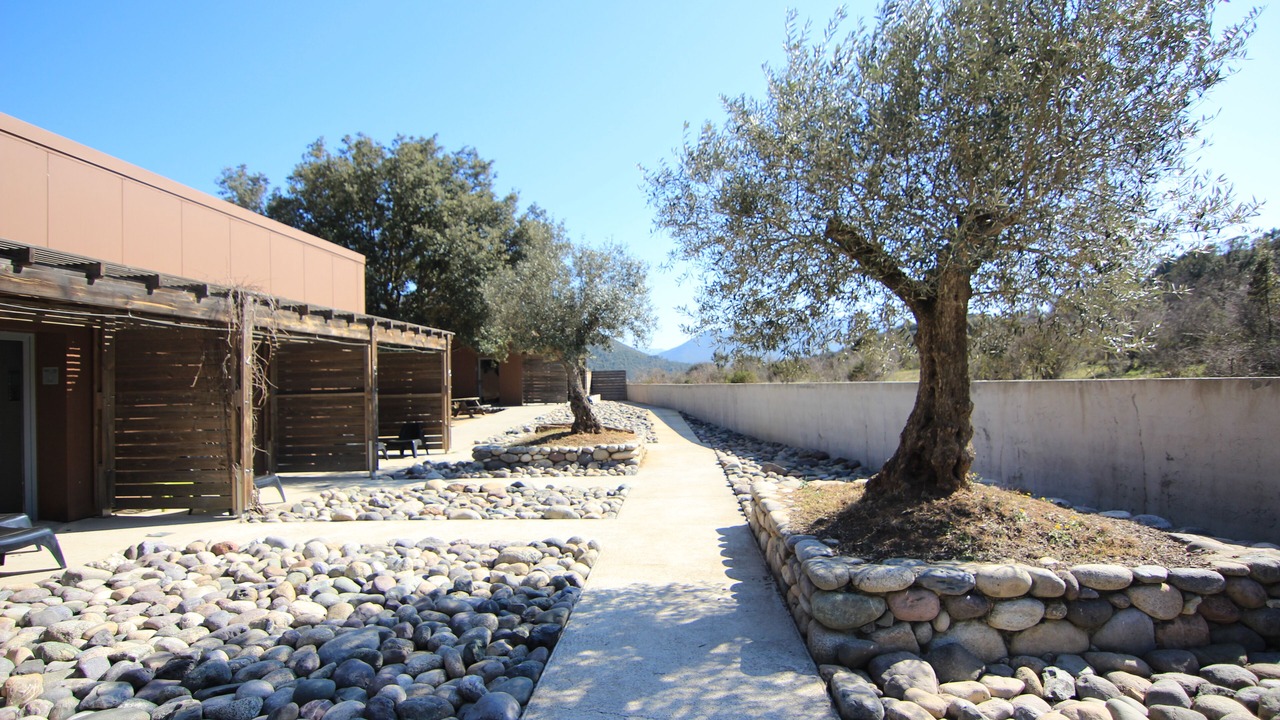 Photo of Bedroom in Morosaglia