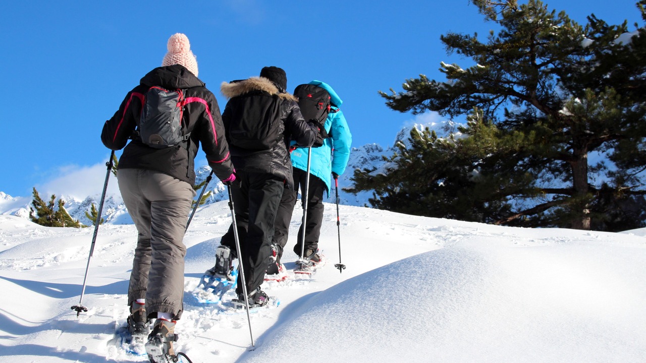 Photo of Others in Morosaglia