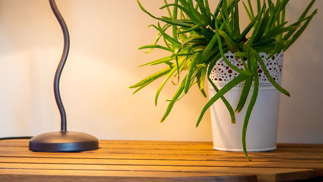 Photo of Bedroom in Saint-Etienne-du-Bois