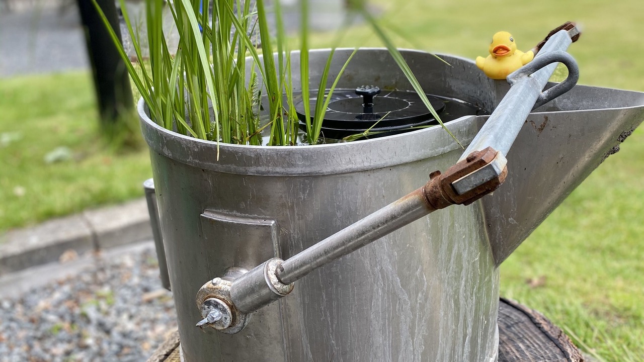 Photo of Outdoor in Valløby