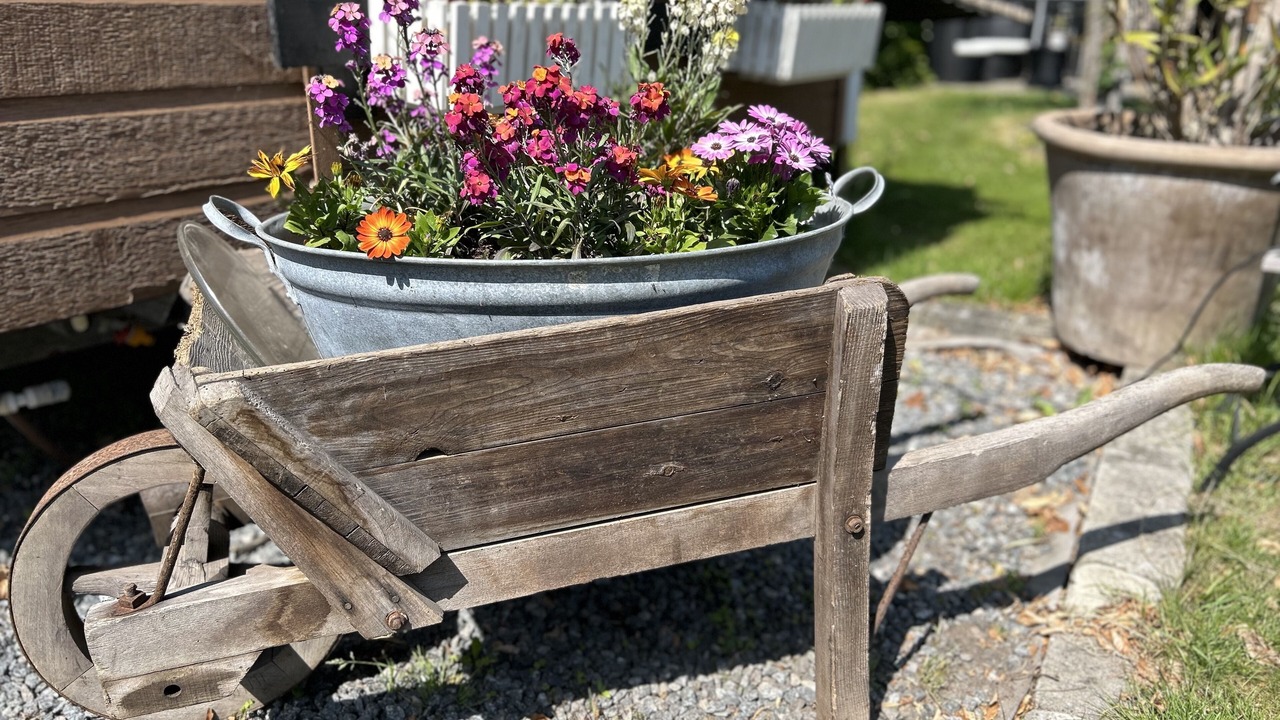 Photo of Outdoor in Valløby