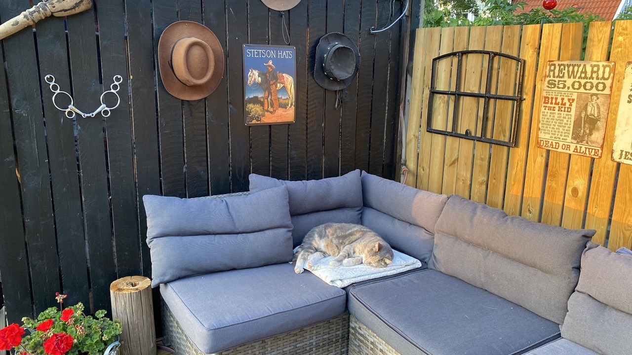 Photo of Outdoor in Valløby