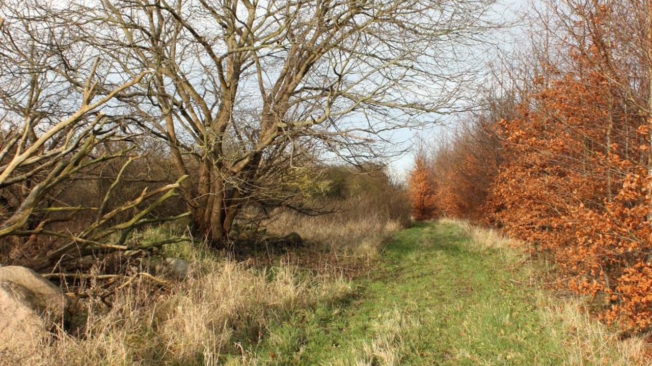 Photo of Outdoor in Kalundborg
