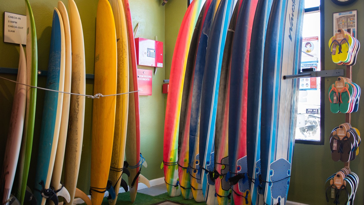 Photo of Others in Pacific Beach