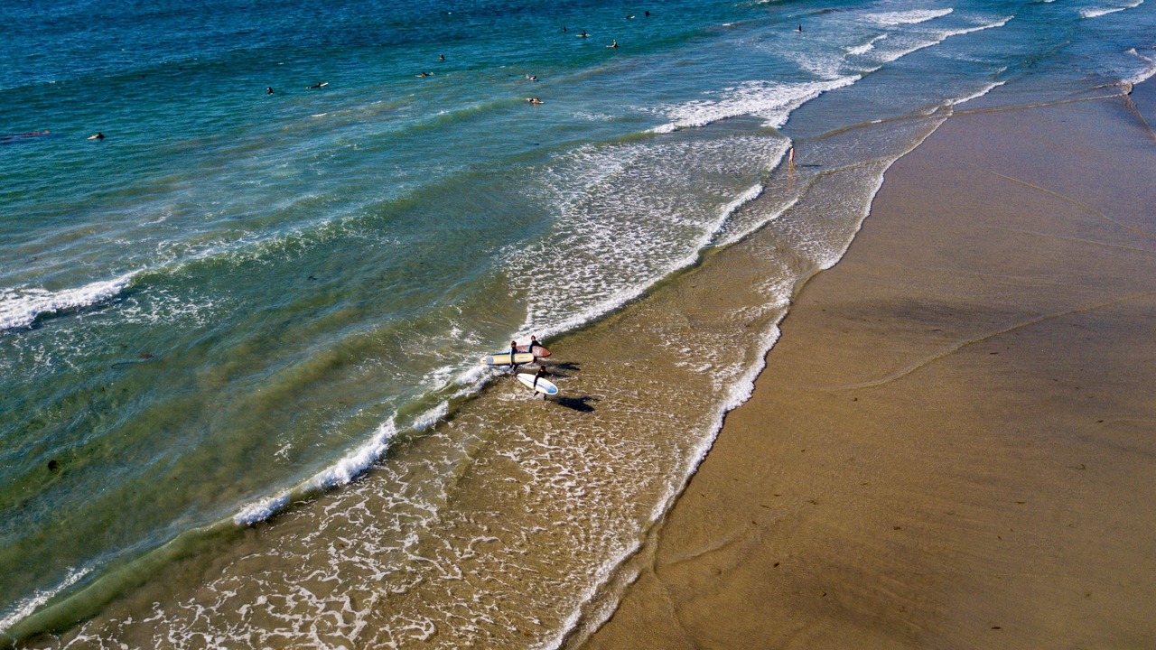 Photo of Others in Pacific Beach
