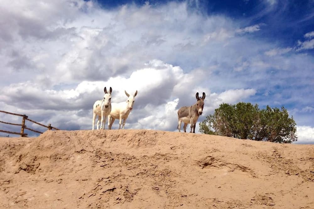 Photo of Others in Abiquiu