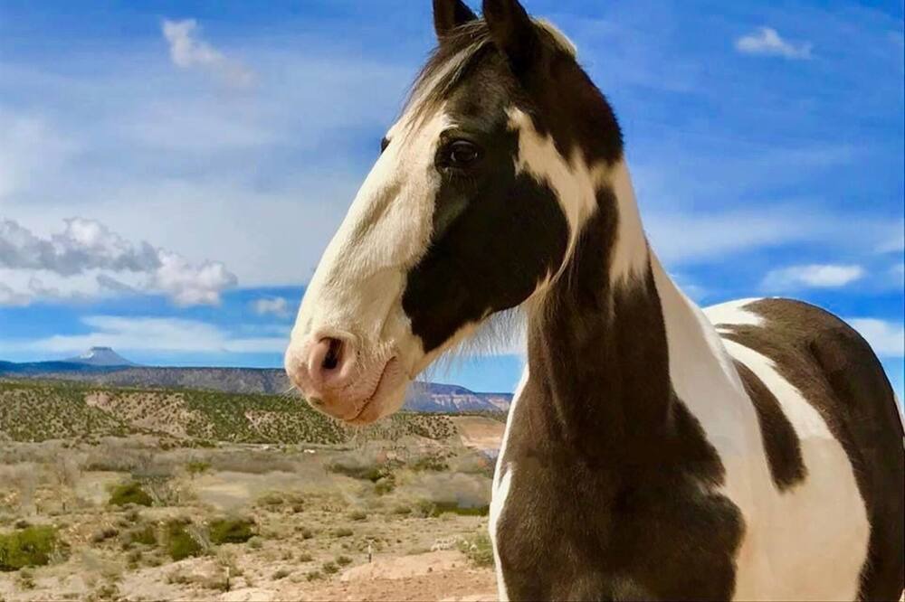 Photo of Others in Abiquiu