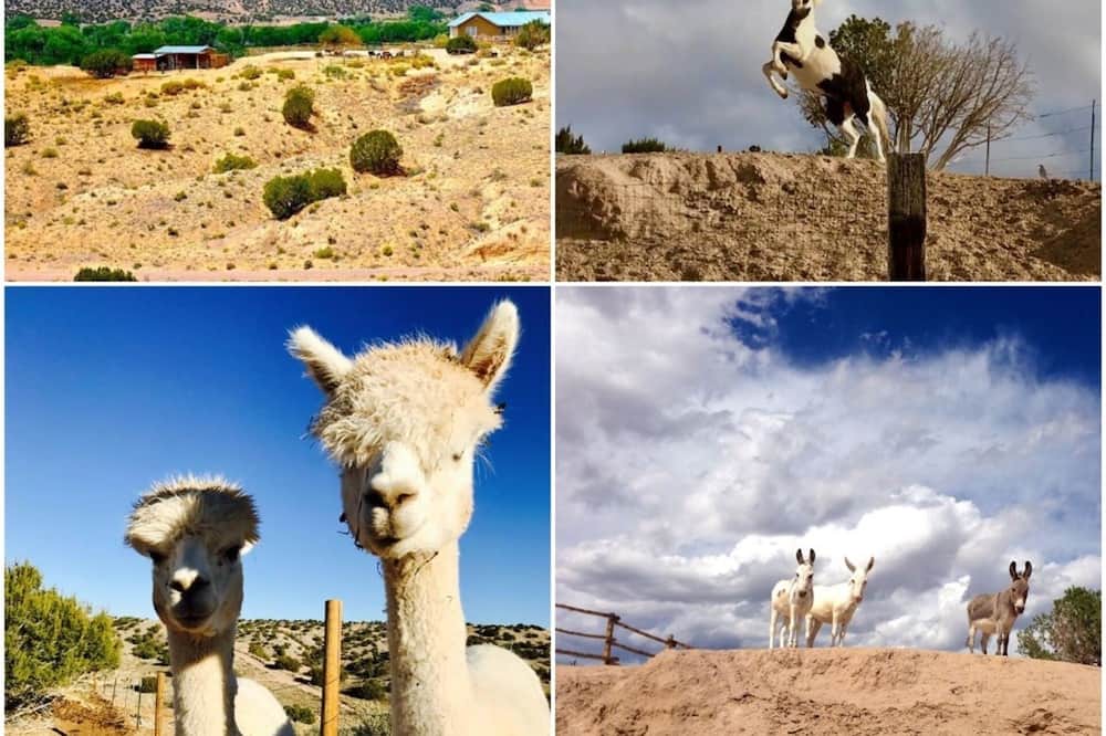 Photo of Others in Abiquiu