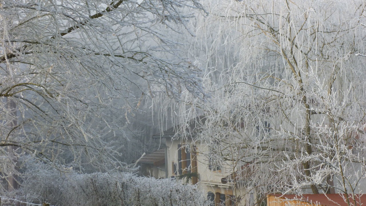 Photo of Others in Iguerande
