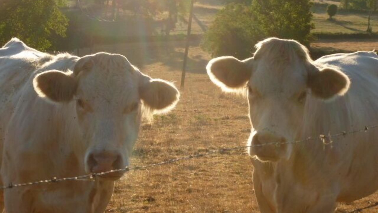 Photo of Others in Iguerande