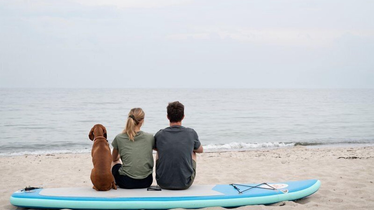 Photo of Others in Nykobing Falster