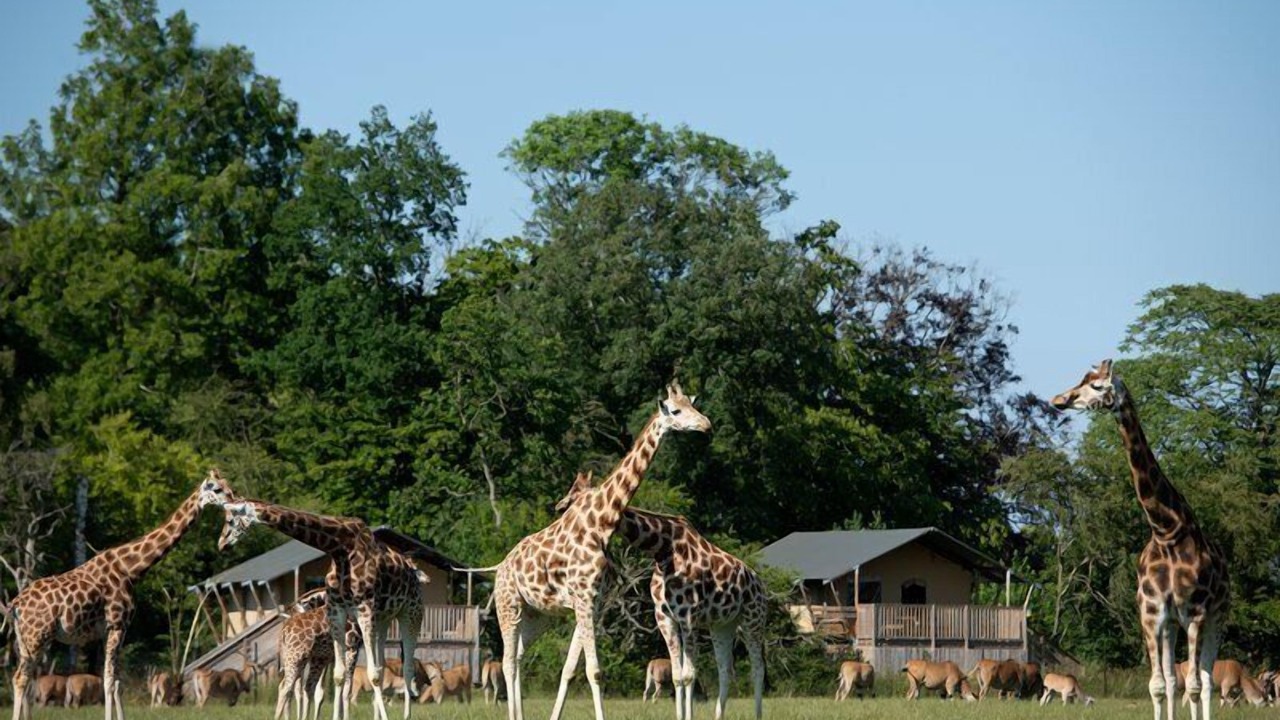 Photo of Outdoor in Nykobing Falster