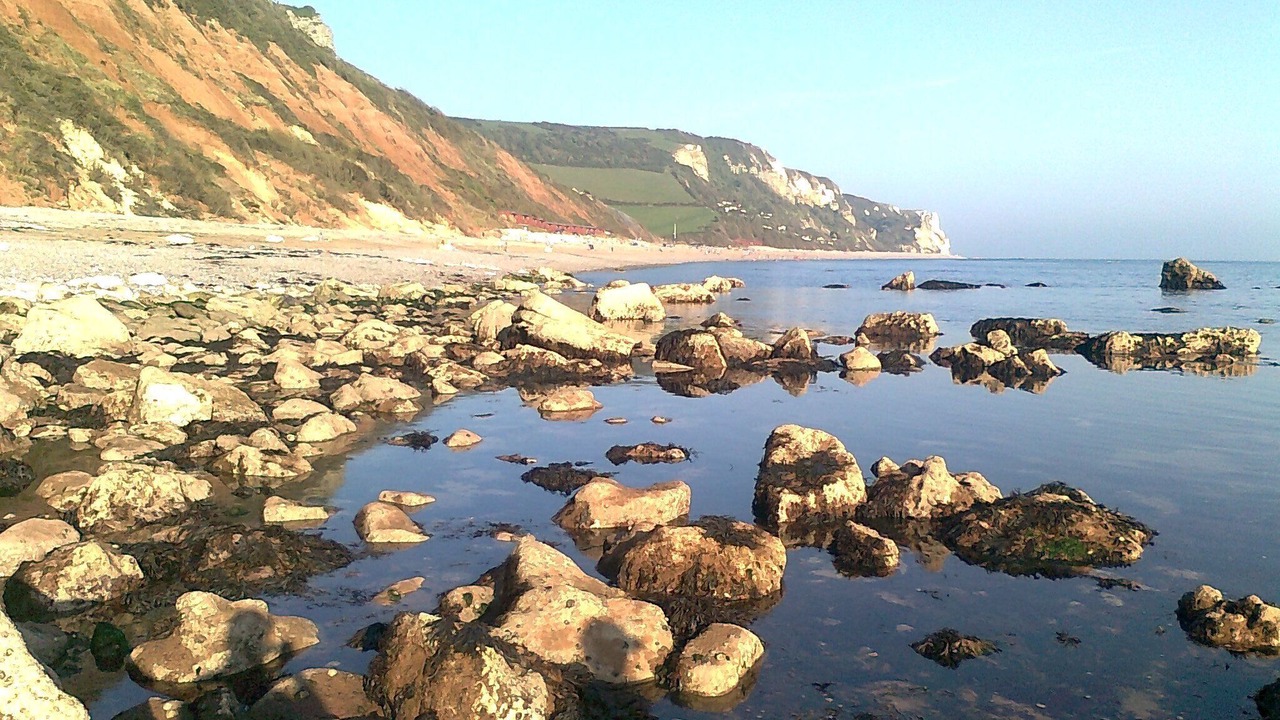 Photo of Outdoor in Clyst Saint George